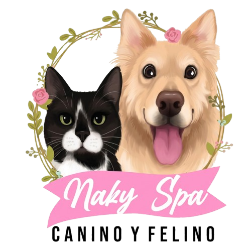 Naky Spa Logo